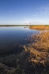 Spring Countryside Lake Landscape Stock Photo