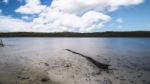 Brown Lake On Stradbroke Island, Queensland Stock Photo