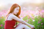 Young Beautiful Woman With A Cosmos Flower Stock Photo