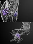 3d Rendering Medical Illustration Of The Metacarpal Bone Stock Photo