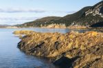 Beautiful View Of Rocky Cape, Tasmania Stock Photo