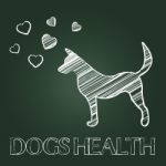 Dogs Health Shows Pups Care And Attention Stock Photo