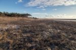 Low Tide Marshland Stock Photo