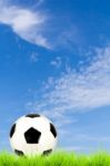 Soccer Ball On Green Grass With Blue Sky Background Stock Photo