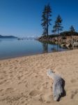 Landscape Of Lake Tahoe Stock Photo