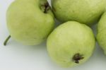 Guava Stock Photo