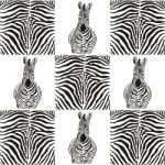 Pattern Zebras For Textiles Stock Photo