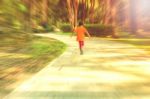 The Girl Walking In Park Stock Photo