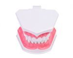 Plactis Denture Stock Photo