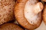 Shiitake Mushrooms Stock Photo