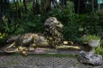 Golden Steel Lion Stock Photo