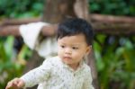 The Cute Boy In The Garden Stock Photo