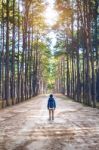 Hiking Man With Backpack Walking In Forest Stock Photo