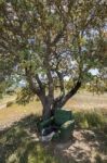 Abandoned Armchair In Nature Stock Photo