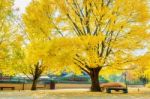 Autumn In Gyeongbokgung Palace,south Korea Stock Photo