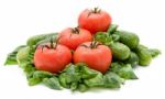 Vivid Wet Ripe Tomatoes Stock Photo