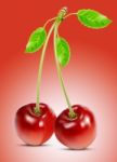 Cherry Stock Photo