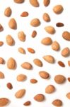 Sweet Almond Drupes Stock Photo