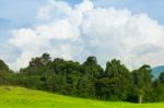 Landscape At Park, Field Against Blue Sky And Clouds Stock Photo