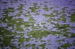 Purple Peeling Painted On Wooden Wall Stock Photo