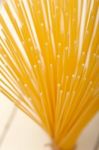 Italian Pasta Spaghetti Stock Photo