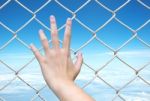 Hand On Chain Link Fence Stock Photo