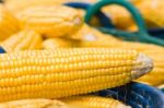 Fresh Corn In Basket Stock Photo