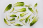 Fresh Romaine Lettuce Isolated On A White Background Stock Photo