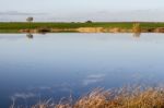 Spring Countryside Lake Landscape Stock Photo