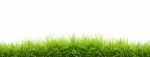 Green Grass Stock Photo