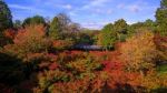 People Visit Tofukuji Temple In Autumn Stock Photo