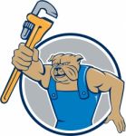 Bulldog Plumber Monkey Wrench Circle Cartoon Stock Photo