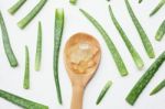 Aloe Vera  On White Background Stock Photo