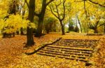 Autumn Cityscape Stock Photo