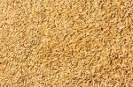 Jasmine Rice Seed Texture Stock Photo