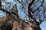 Statue Of Buddha, At Wat Yai Chai Mongkol, Ayutthaya, Thailand Stock Photo