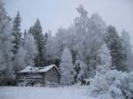 Old Timber Barn Stock Photo