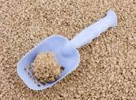 Cleaning Litter Box. Plastic Shovel With Clumping Lump On A Back Stock Photo