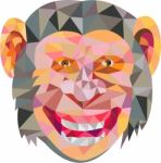 Chimpanzee Head Front Low Polygon Stock Photo