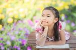 Asian Girl Reading A Book Stock Photo