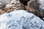 Frost On Growning On Rocks Stock Photo