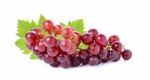 Grapes Isolated On Over White Background Stock Photo