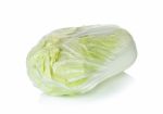 Chinese Cabbage Isolated On The White Background Stock Photo