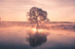 Colorful Frosty Winter Morning On The River Stock Photo