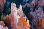 Bryce Canyon Sculpted By The Elements Stock Photo