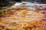 Mammoth Hot Springs Stock Photo