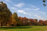 Autumn Tints In Parco Di Monza Italy Stock Photo