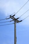 Vertical Top Electric Pole Stock Photo