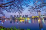 Seoul, Korea - April 9, 2015: Lotte World Amusement Park And Cherry Blossom Of Spring, A Major Tourist Attraction In Seoul, South Korea On April 9, 2015 Stock Photo