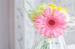 Gerbera In Jar Stock Photo